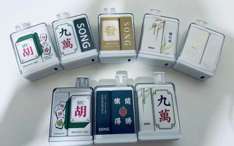 崧盒一次性电子烟